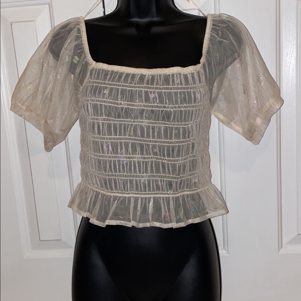 Sheer butterfly crop top NWT